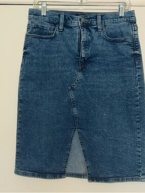 Banana Republic Dark Blue Denim Skirt-Style Jeans